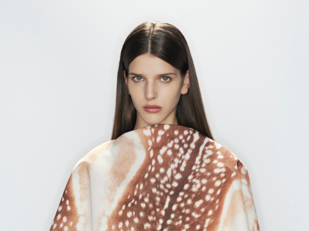 bambi print