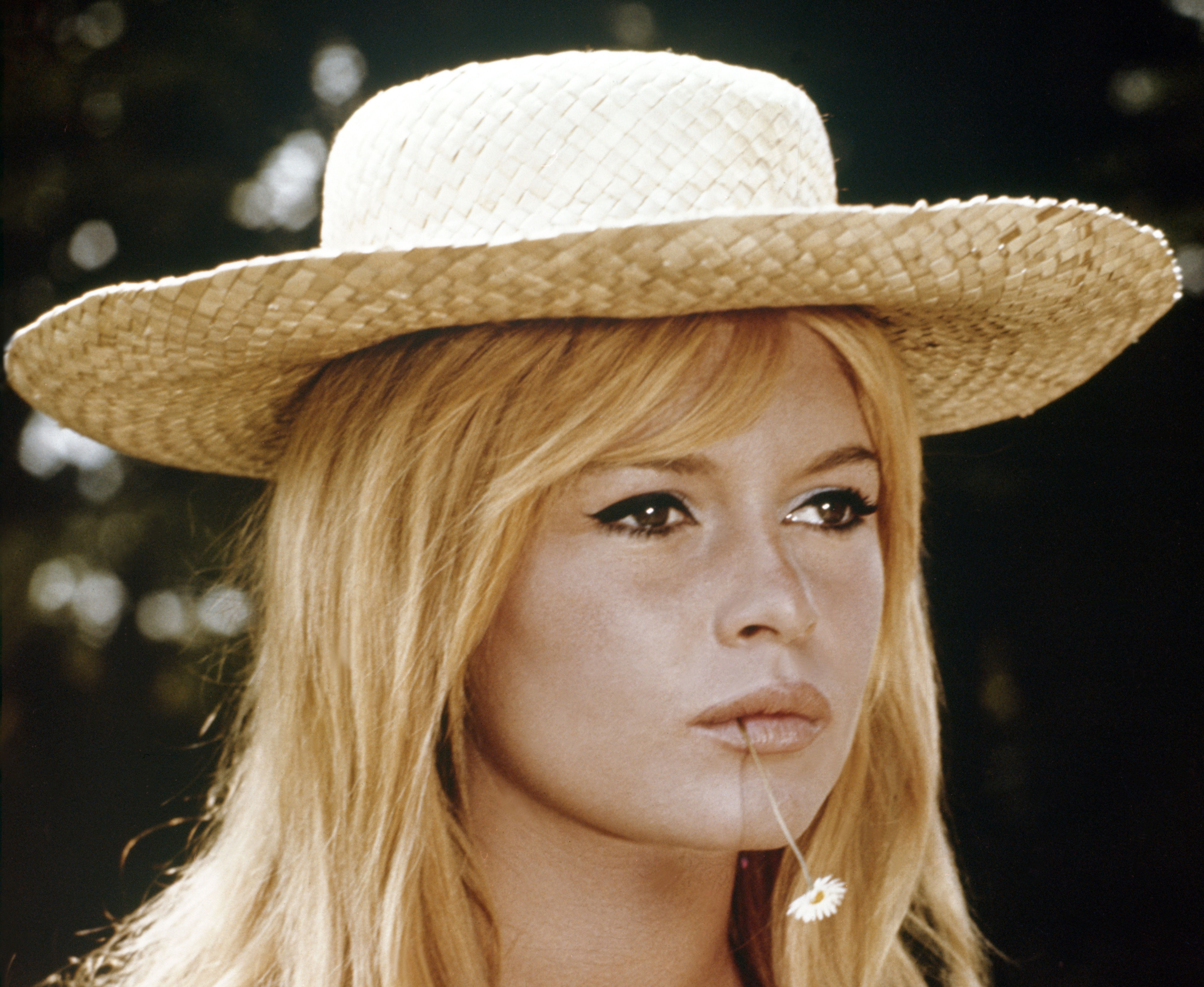 Brigitte Bardot