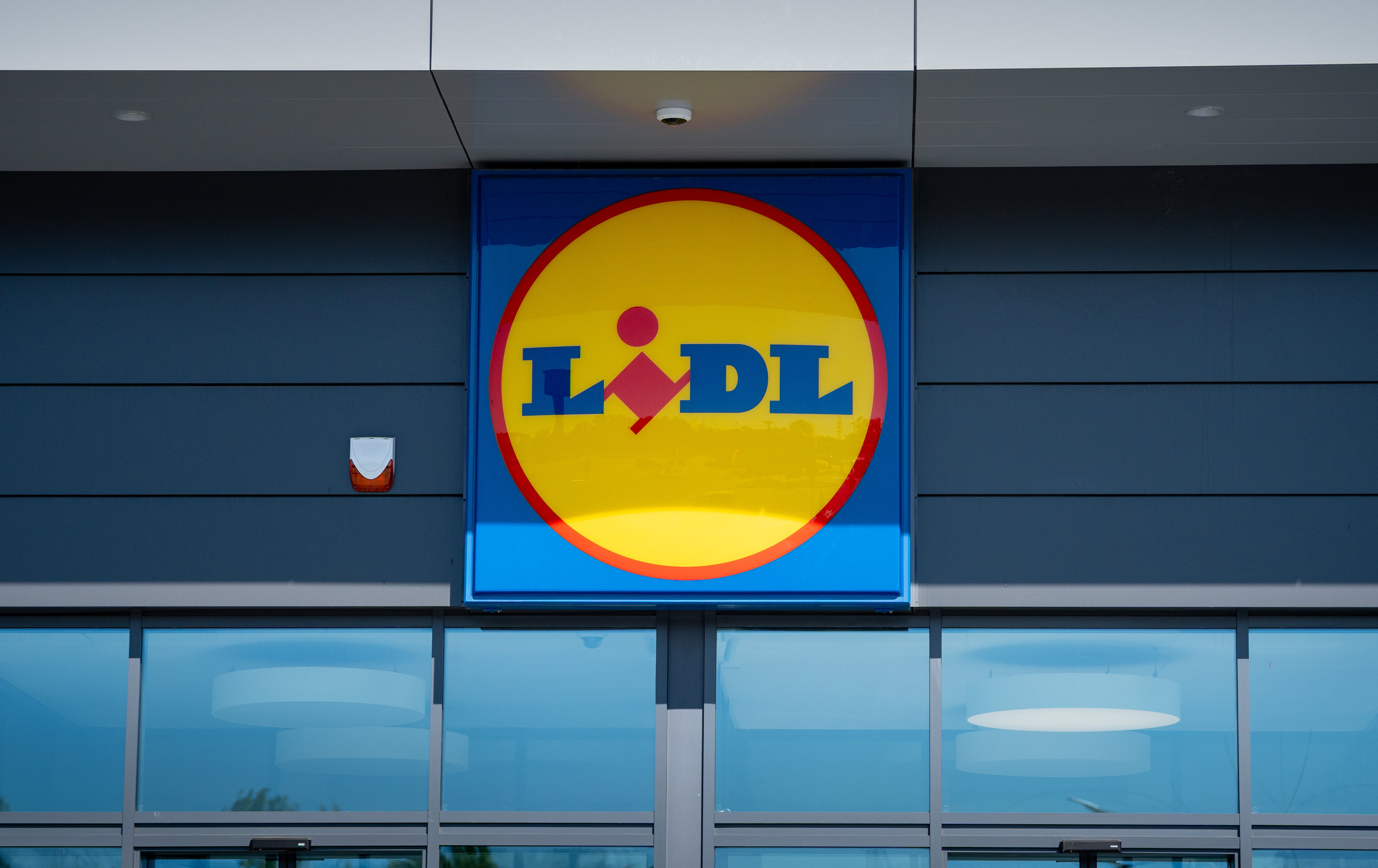 torebki witthen lidl