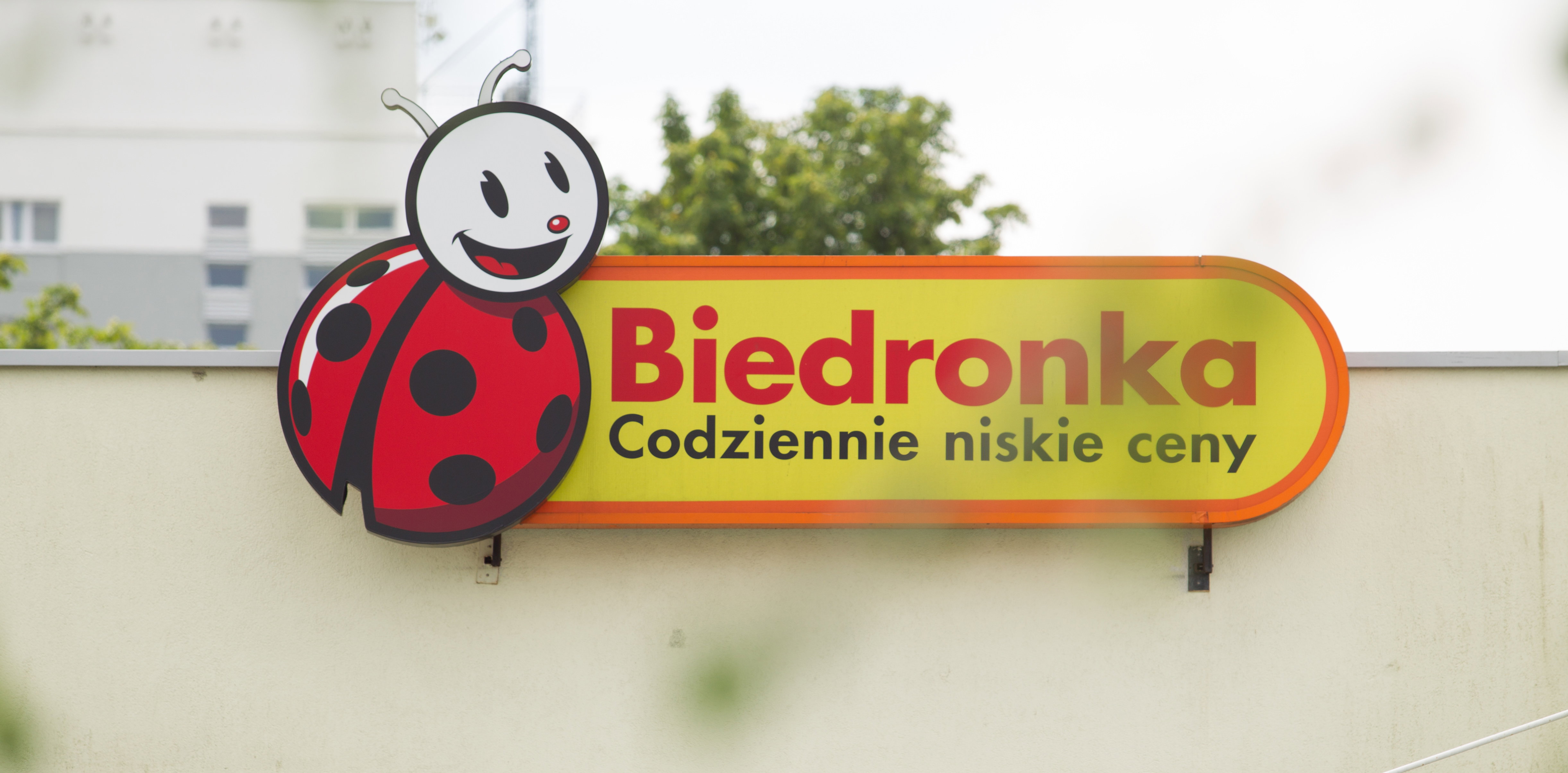 Promocja na perfumy w Biedronce
