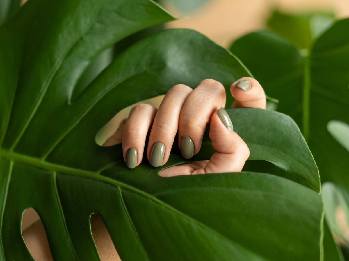 Manicure ripe olive.