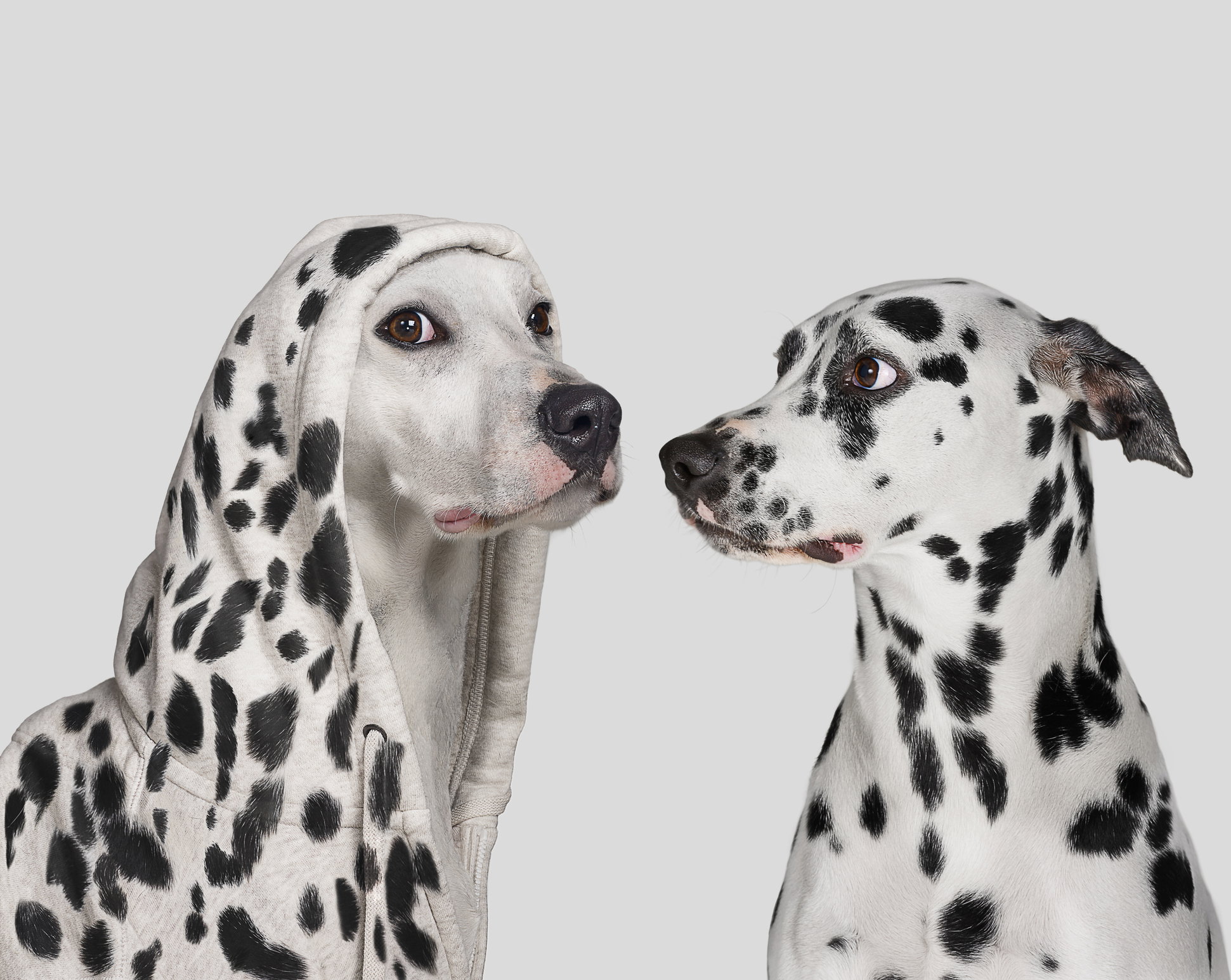 Nakrapiane jeansy dalmatian print