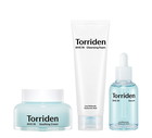 TORRIDEN DIVE IN