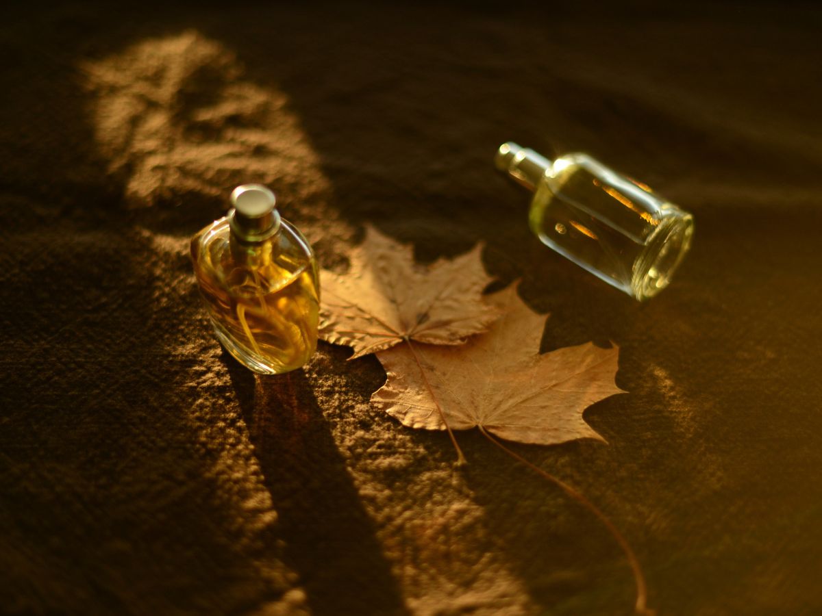 Dziś perfumy z mchem dębu stają się najbardziej pożądanym zapachem jesieni